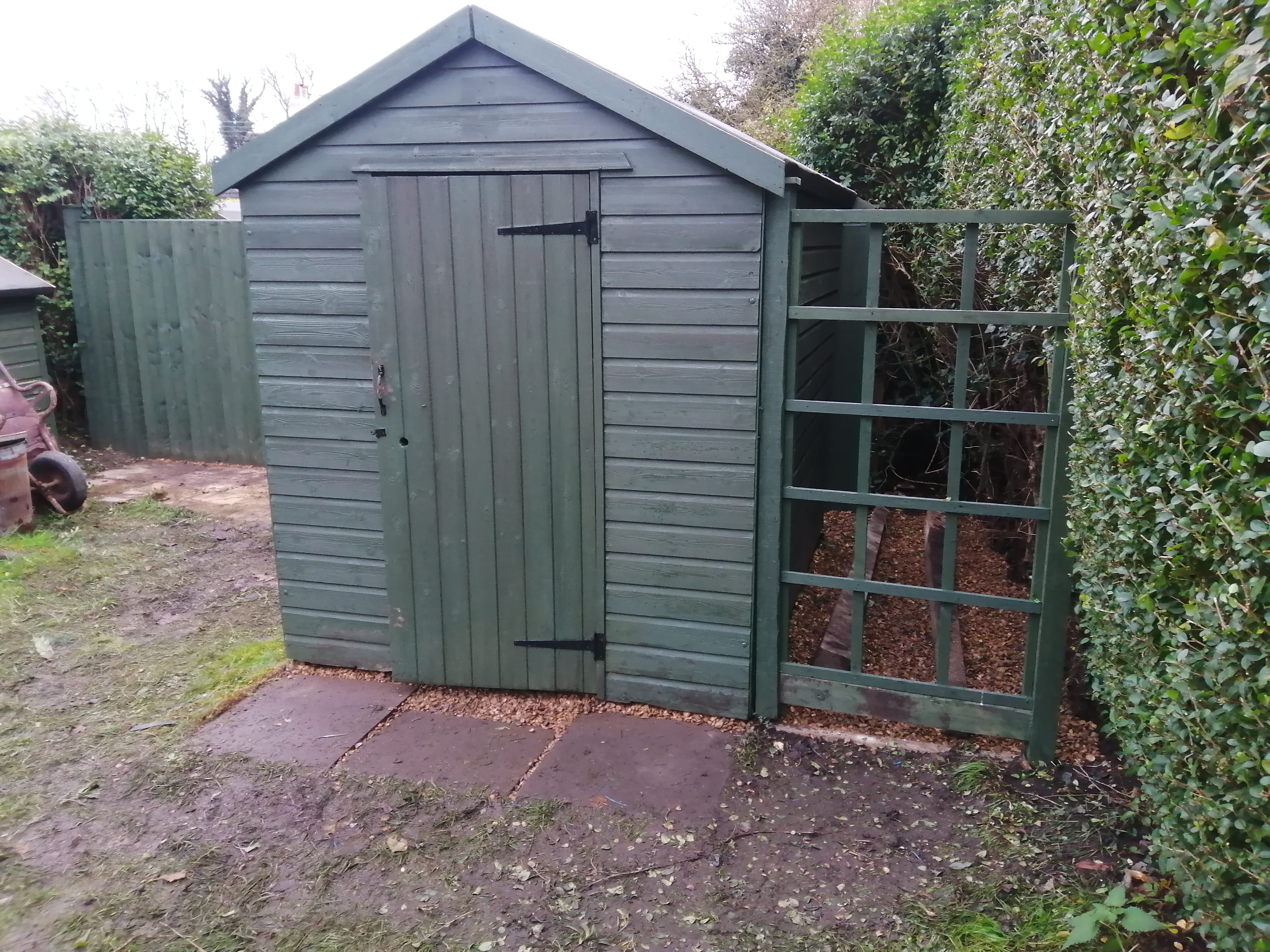 Repair of shed with new trelice.jpg